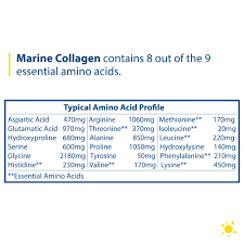 Marine Collagen Type I & III 30 servings